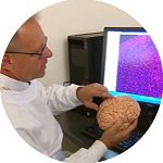 BREAKING NEWS: Placental stem cell research into stroke therapy takes promising step forward
